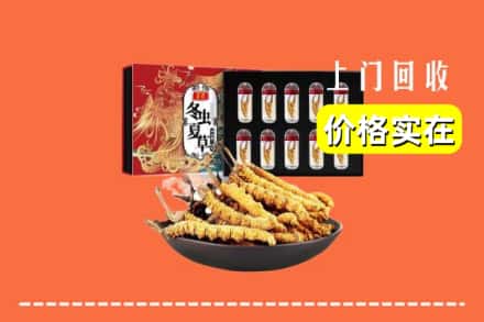 潍坊昌乐县回收虫草